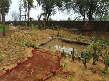 Photo1Van Mahotsav plantation drive, 17th August 2016