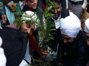 Press Release for Plantation Drive in Hari Nagar Assembly Constituency.