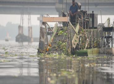 Yamuna Cleaning